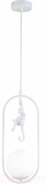 Изображение товара Потолочный светильник Evoluce Tenato SLE115123-01