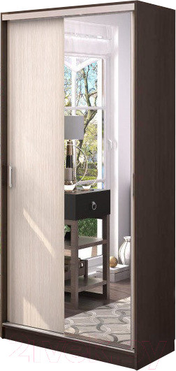 Изображение товара Шкаф-купе Стендмебель Альянс 1.0 (дуб белфорт/венге)
