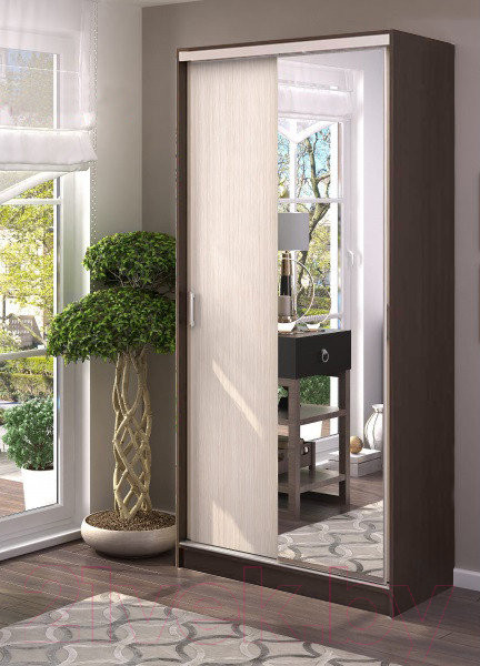 Изображение товара Шкаф-купе Стендмебель Альянс 1.0 (дуб белфорт/венге)