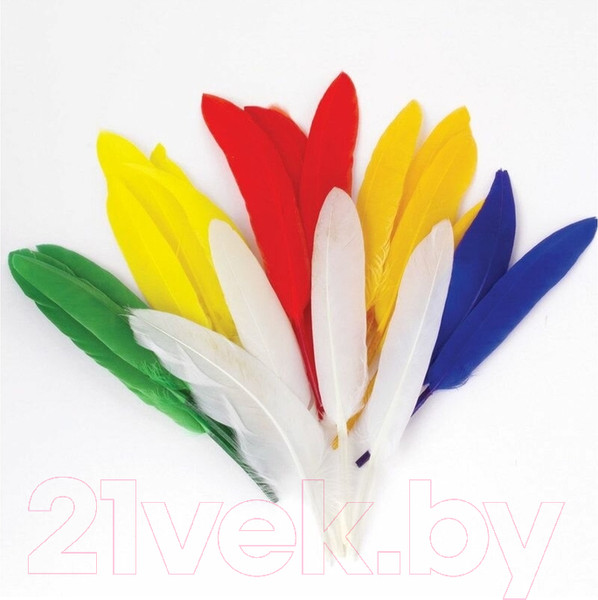 Изображение товара Набор перьев декоративных Остров Сокровищ 661380 (24шт)