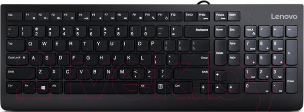 Изображение товара Комплект клавиатура и мышь Lenovo 300 U / GX30M39635 (черный)