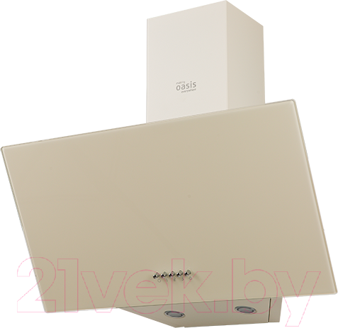 Изображение товара Вытяжка наклонная Making Oasis Everywhere NP-60I (FR)