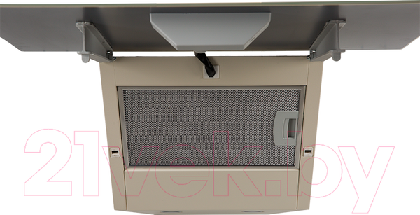 Изображение товара Вытяжка наклонная Making Oasis Everywhere NP-60I (FR)