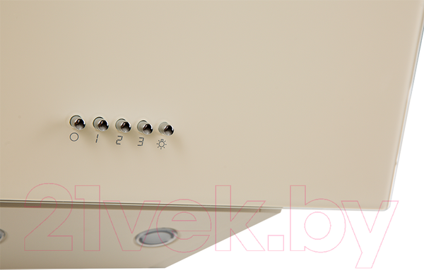 Изображение товара Вытяжка наклонная Making Oasis Everywhere NP-50I (FR)