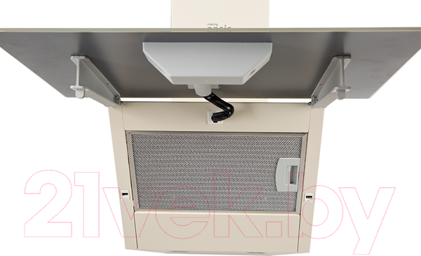 Изображение товара Вытяжка наклонная Making Oasis Everywhere NP-50I (FR)