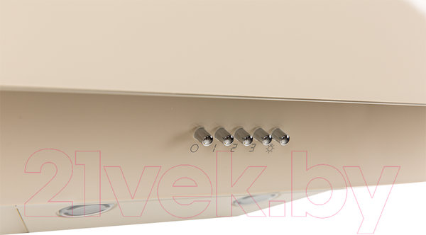 Изображение товара Вытяжка наклонная Making Oasis Everywhere NS-60I (FR)