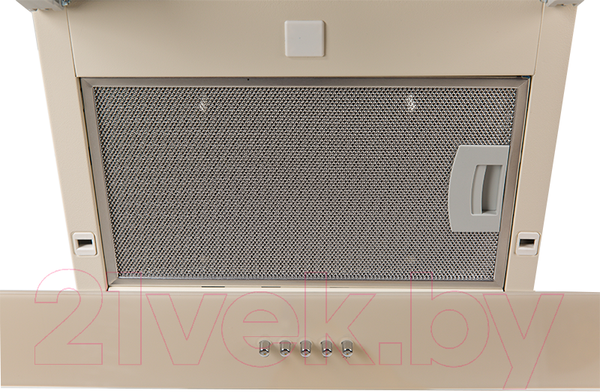 Изображение товара Вытяжка наклонная Making Oasis Everywhere NS-60I (FR)