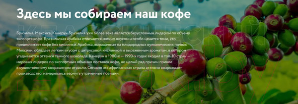 Изображение товара Кофе молотый Жокей Классический / Nd-00001613 (250г)