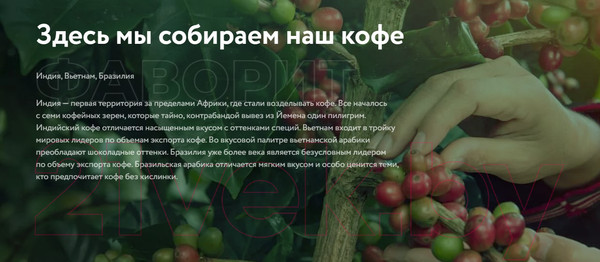 Изображение товара Кофе растворимый Жокей Фаворит / Nd-00001884 (150г)