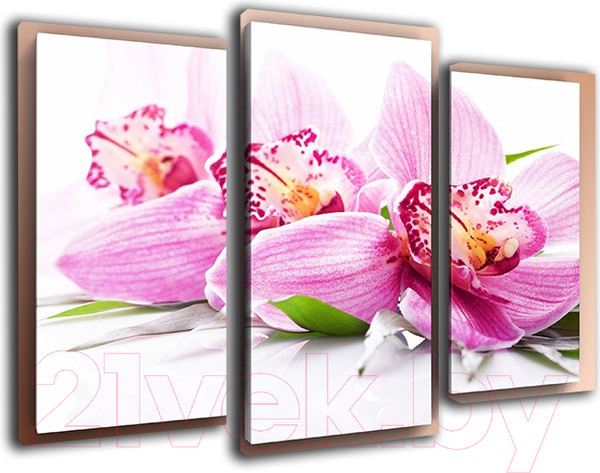 Изображение товара Картина модульная Arthata m-000527 (75x50)