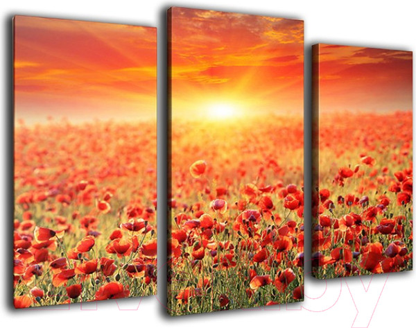 Изображение товара Картина модульная Arthata m-000528 (90x60)