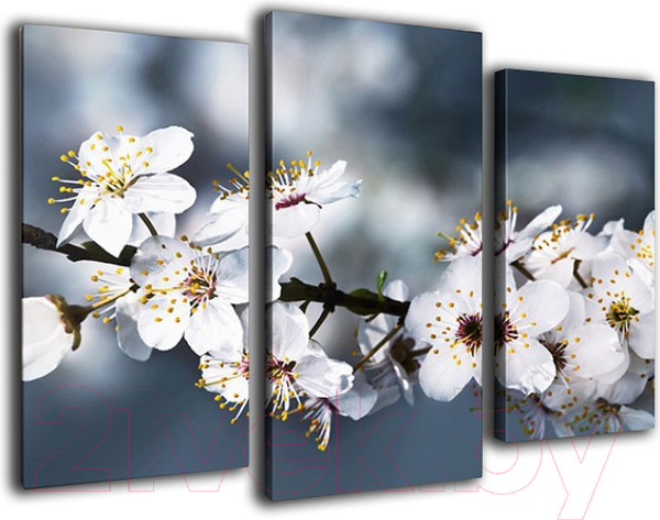 Изображение товара Картина модульная Arthata m-000532 (90x60)