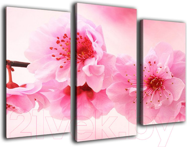 Изображение товара Картина модульная Arthata m-000534 (75x50)