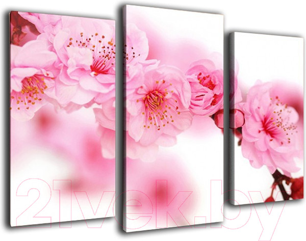 Изображение товара Картина модульная Arthata m-000536 (75x50)