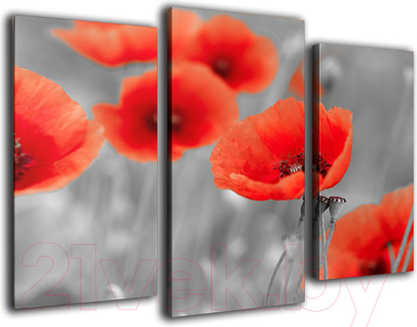 Изображение товара Картина модульная Arthata m-000559 (75x50)