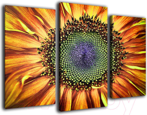 Изображение товара Картина модульная Arthata m-000561 (120x80)