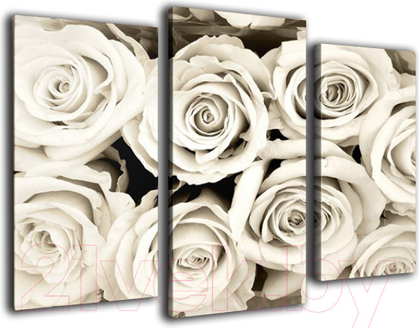 Изображение товара Картина модульная Arthata m-000564 (90x60)