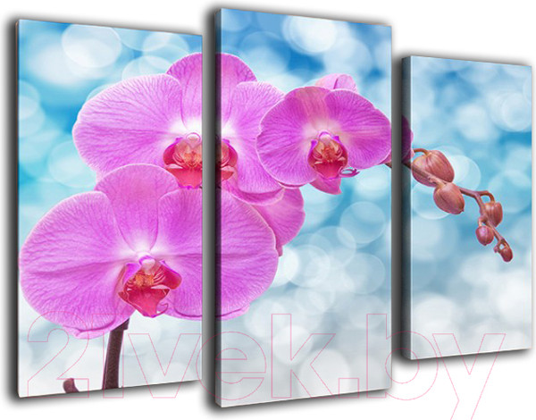 Изображение товара Картина модульная Arthata m-000565 (75x50)