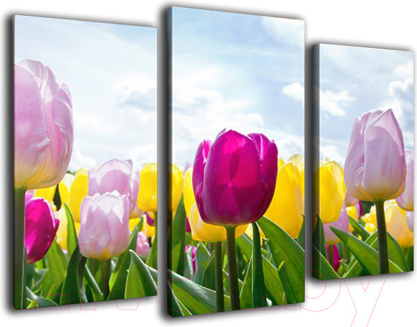 Изображение товара Картина модульная Arthata m-000566 (90x60)