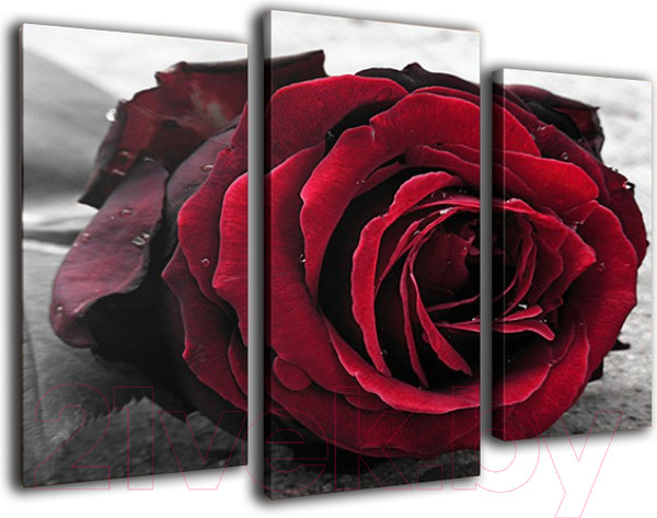 Изображение товара Картина модульная Arthata m-000568 (120x80)