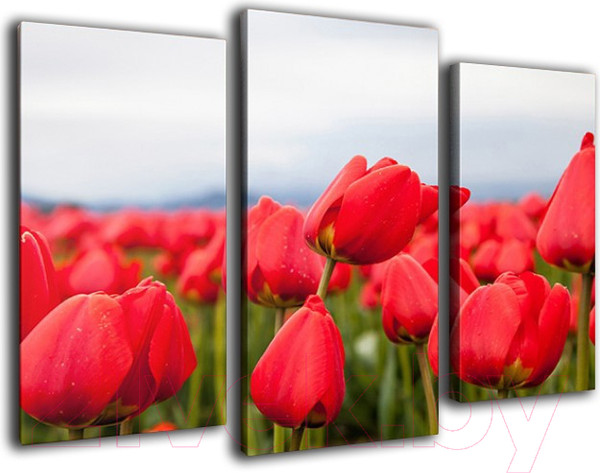 Изображение товара Картина модульная Arthata m-000569 (90x60)