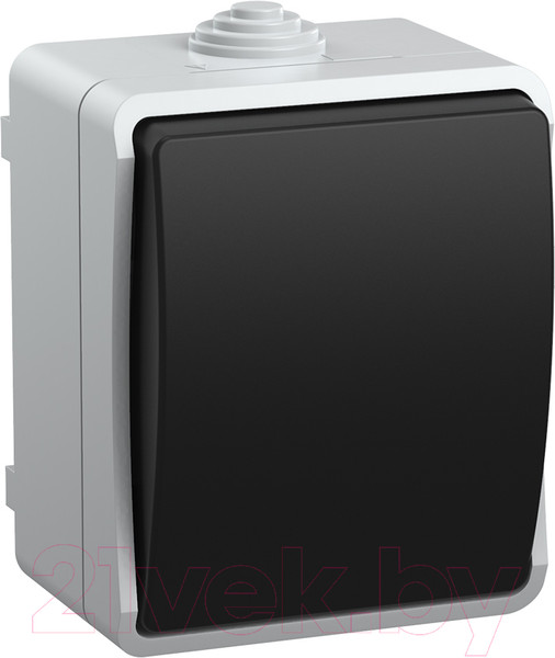 Изображение товара Выключатель IEK EVS10-K03-10-54-DC