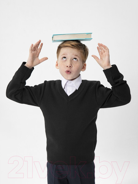 Изображение товара Джемпер детский Amarobaby Pure Love School / AB-OD21-PLS2101/09-128 (черный, р. 128)