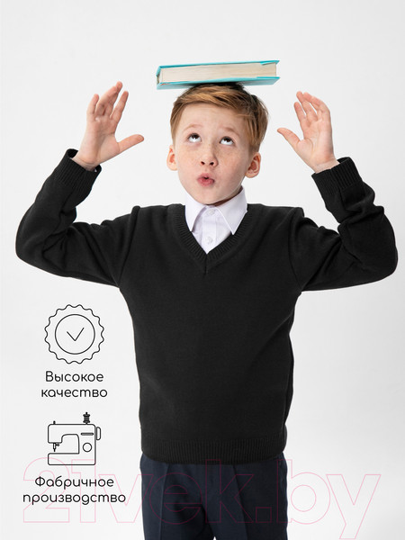 Изображение товара Джемпер детский Amarobaby Pure Love School / AB-OD21-PLS2101/09-128 (черный, р. 128)