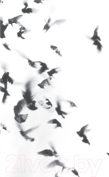 Изображение товара Книга Эксмо Жутко громко и запредельно близко. Магистраль. Главный тренд (Фоер Дж.)