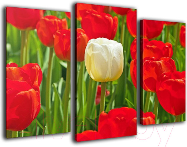 Изображение товара Картина модульная Arthata m-000570 (75x50)