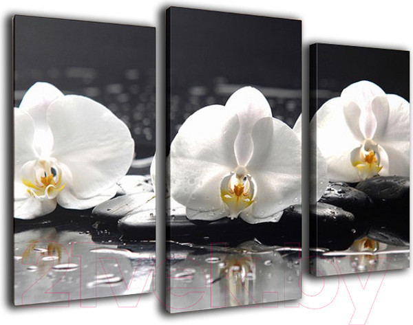 Изображение товара Картина модульная Arthata m-000575 (75x50)