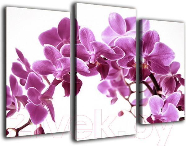 Изображение товара Картина модульная Arthata m-000579 (90x60)