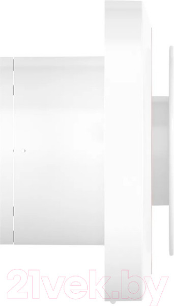 Изображение товара Вентилятор накладной ERA D 100 / Disc 4 C ET