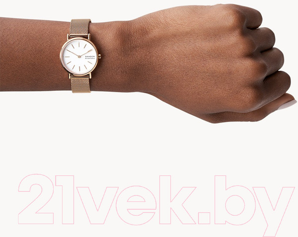 Изображение товара Часы наручные женские Skagen SKW2694