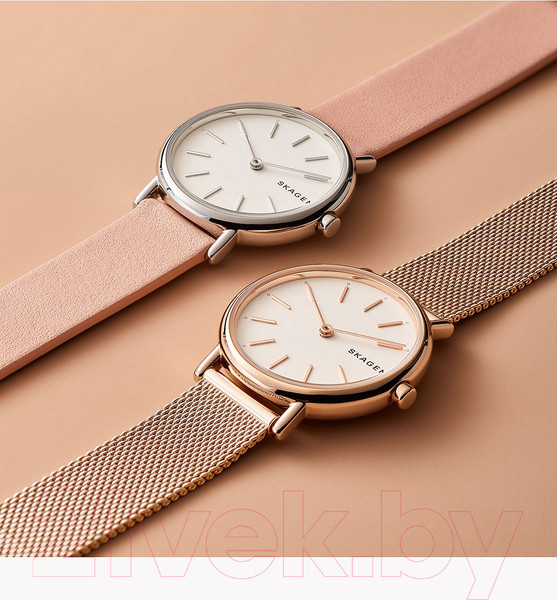Изображение товара Часы наручные женские Skagen SKW2694