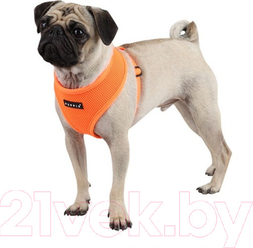 Изображение товара Шлея-жилетка для животных Puppia Neon Soft / PAPA-AC1325-OR-XL (оранжевый)