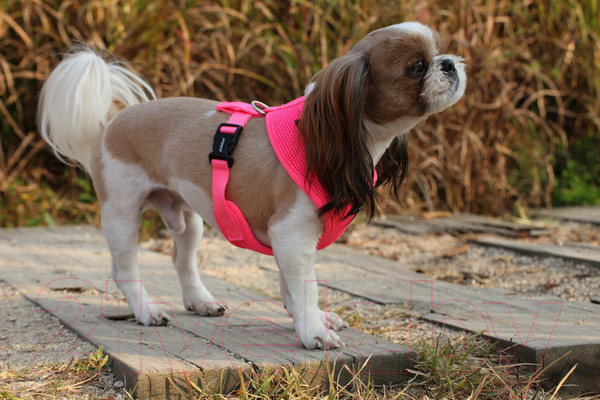 Изображение товара Шлея-жилетка для животных Puppia Neon Soft / PAPA-AC1325-PK-XL (розовый)