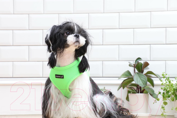 Изображение товара Шлея-жилетка для животных Puppia Neon Soft / PAPA-AC1325-GR-L (салатовый)