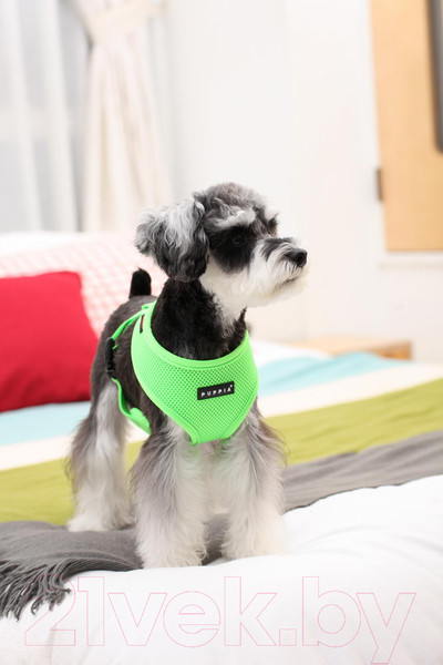 Изображение товара Шлея-жилетка для животных Puppia Neon Soft / PAPA-AC1325-GR-XL (салатовый)