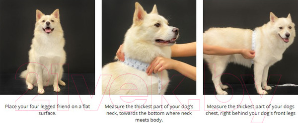 Изображение товара Шлея-жилетка для животных Puppia Pro / PAUA-HA1828-OR-L (оранжевый/светоотражающий)