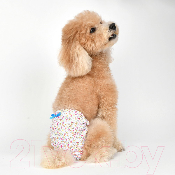 Изображение товара Трусики для животных Puppia WildFlower / PAUB-PT1806-SB-L (голубой бантик)