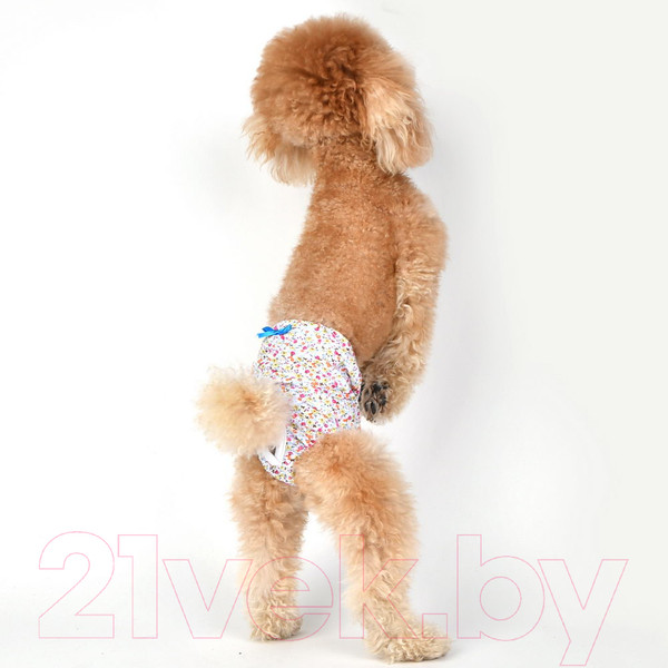Изображение товара Трусики для животных Puppia WildFlower / PAUB-PT1806-SB-L (голубой бантик)