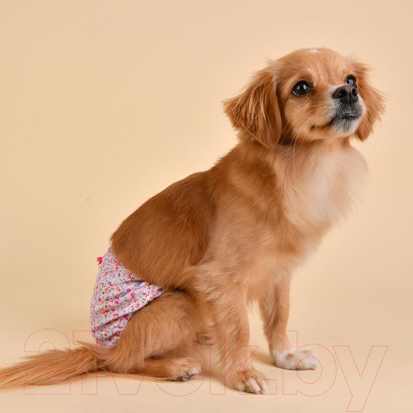 Изображение товара Трусики для животных Puppia WildFlower / PAUB-PT1806-PK-L (розовый бантик)