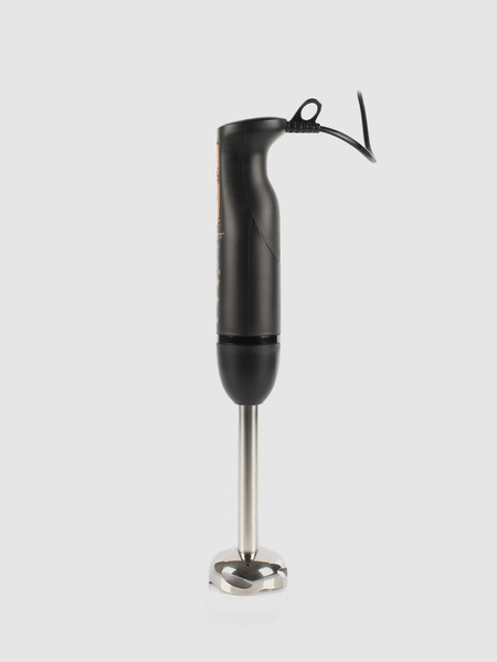 Изображение товара Блендер погружной Scarlett SC-HB42F72 (золотые звезды)