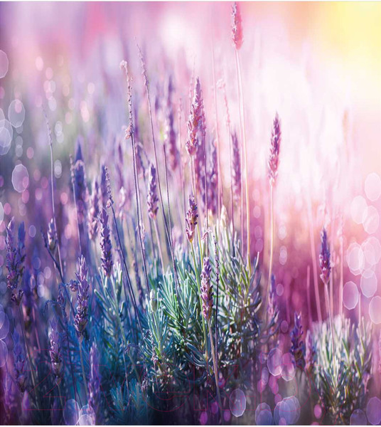 Изображение товара Наволочка декоративная JoyArty Горная лаванда / sl_39846