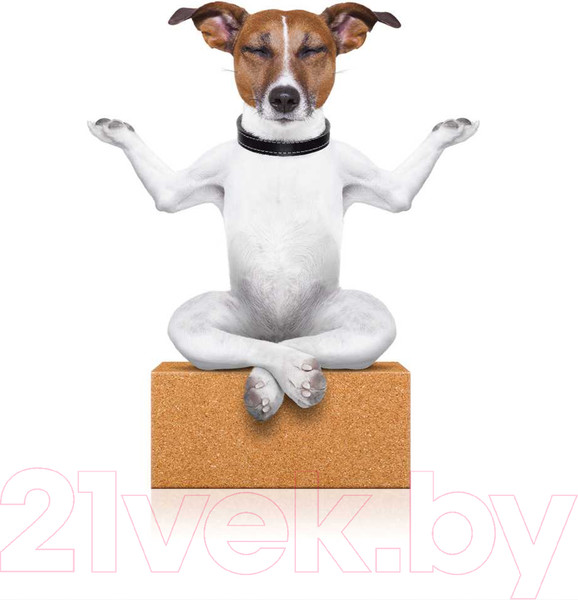 Изображение товара Наволочка декоративная JoyArty Медитирующий пес / sl_9723