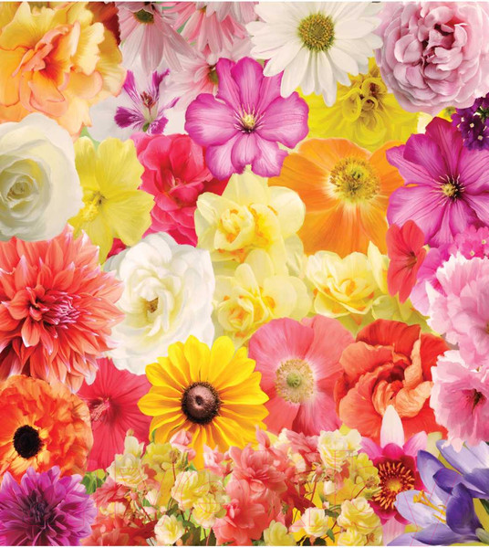 Изображение товара Наволочка декоративная JoyArty Коллекция цветов / sl_12327