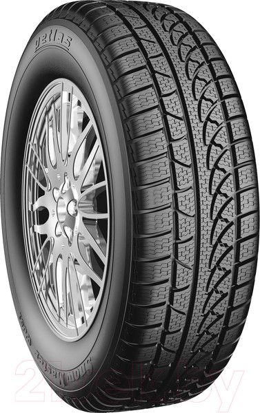 Изображение товара Зимняя шина Petlas Snowmaster W651 245/45R19 102V