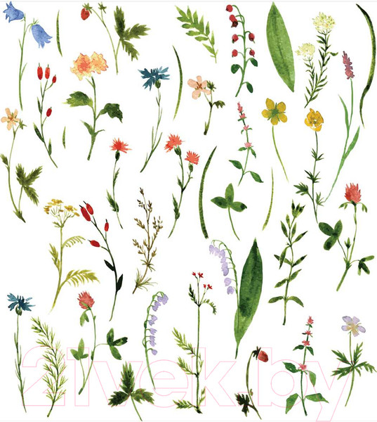 Изображение товара Наволочка декоративная JoyArty Редкие цветы / sl_14556