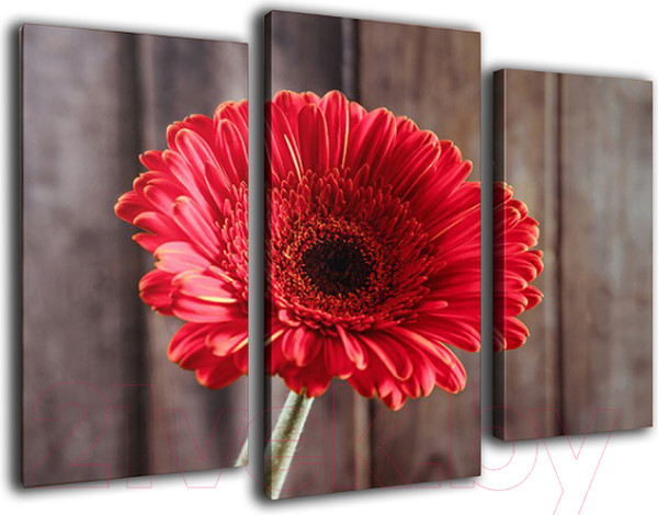 Изображение товара Картина модульная Arthata m-000580 (75x50)